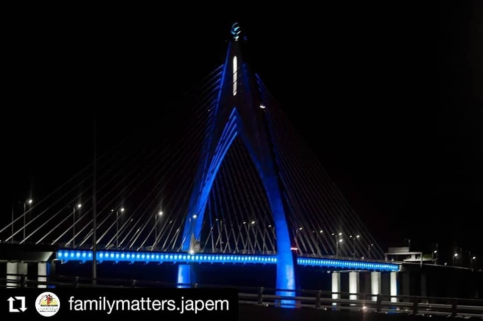 Penyalaan Lampu Biru Di Dua Jambatan Sempena UCD 2020 (1).jpg