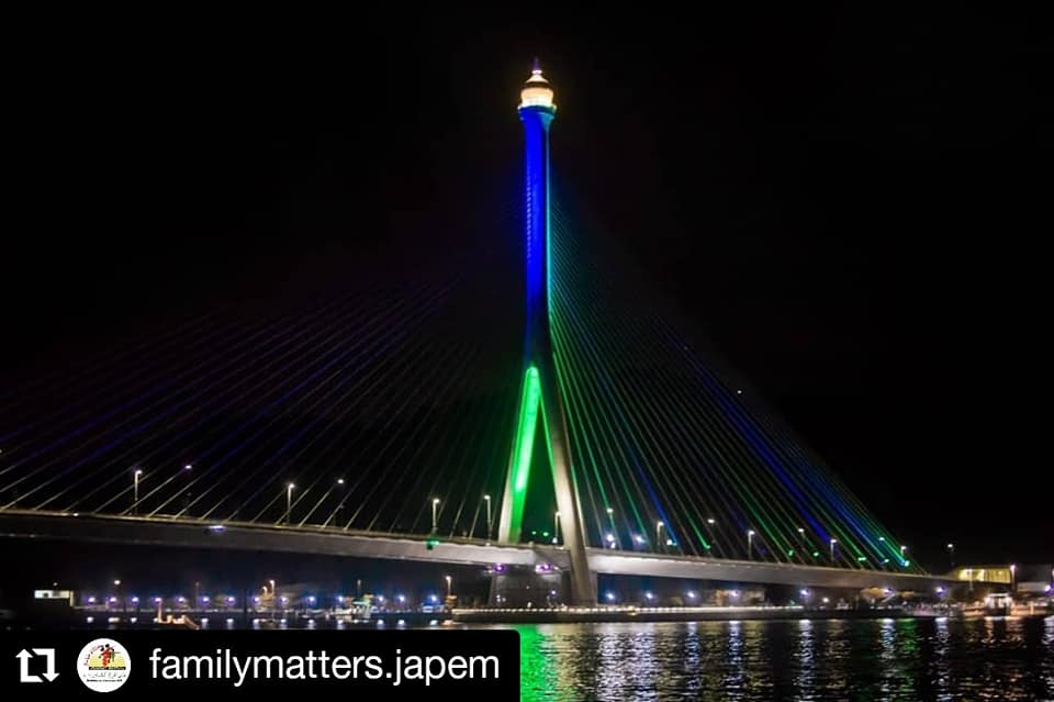 Penyalaan Lampu Biru Di Dua Jambatan Sempena UCD 2020 (2).jpg